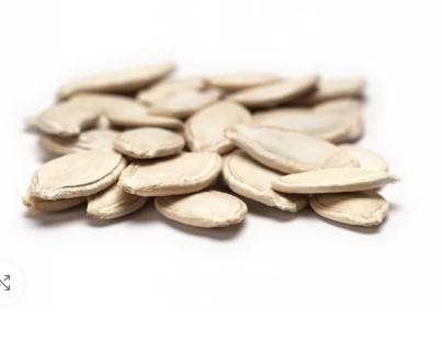 Turkish Pumkin Seed