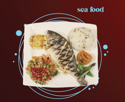 Levrek- Sea Bass