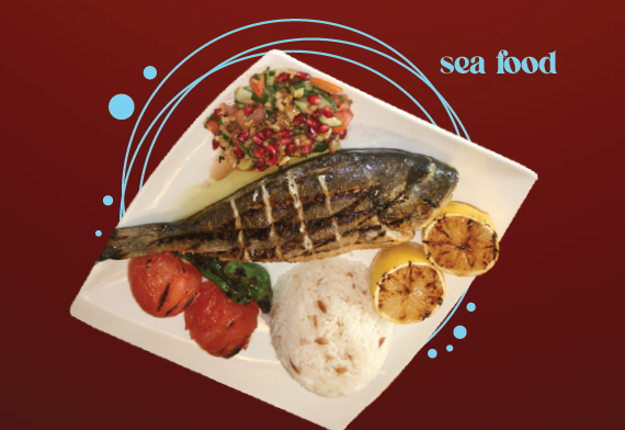 Chupra – Sea Bream