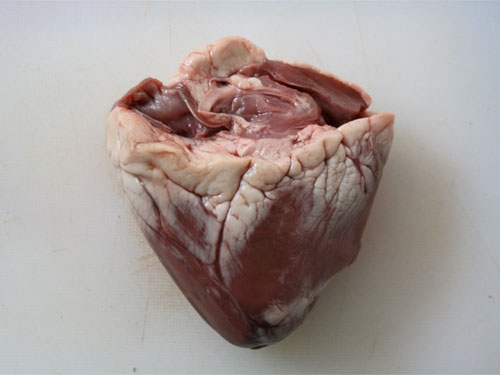 Lamb Heart