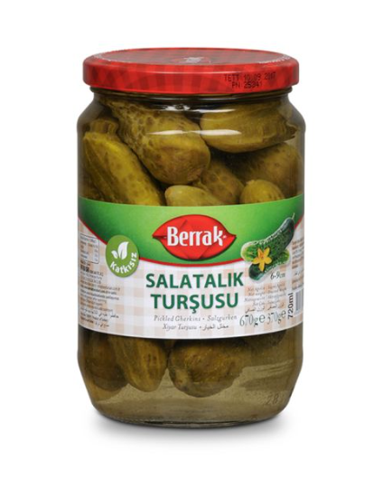 Berrak Salatalık 670g
